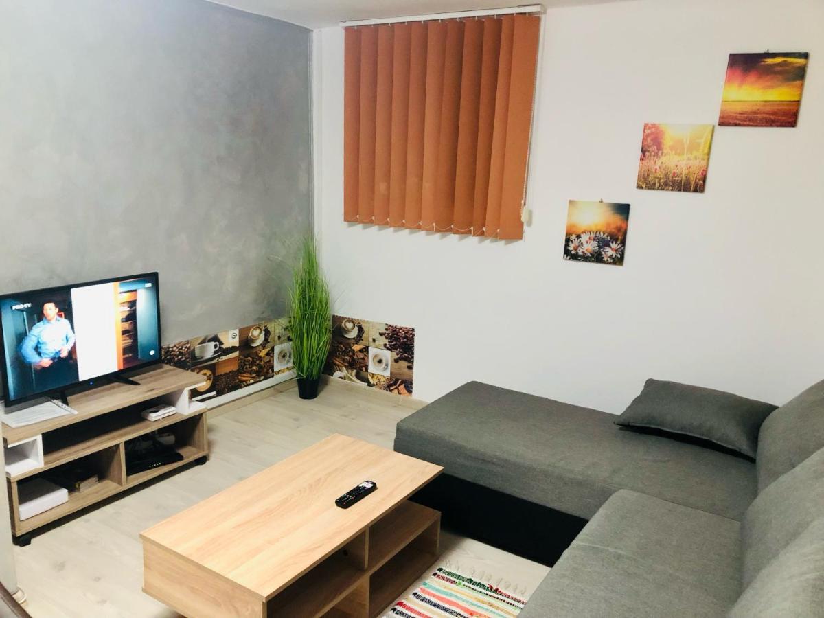 Central Park - Big Apartment - 3 Rooms - Free Parking T5 Тімішоара Екстер'єр фото