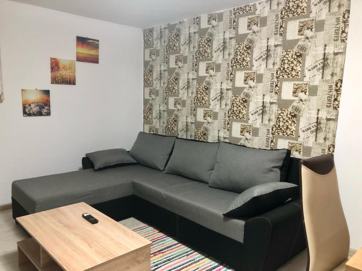 Central Park - Big Apartment - 3 Rooms - Free Parking T5 Тімішоара Екстер'єр фото