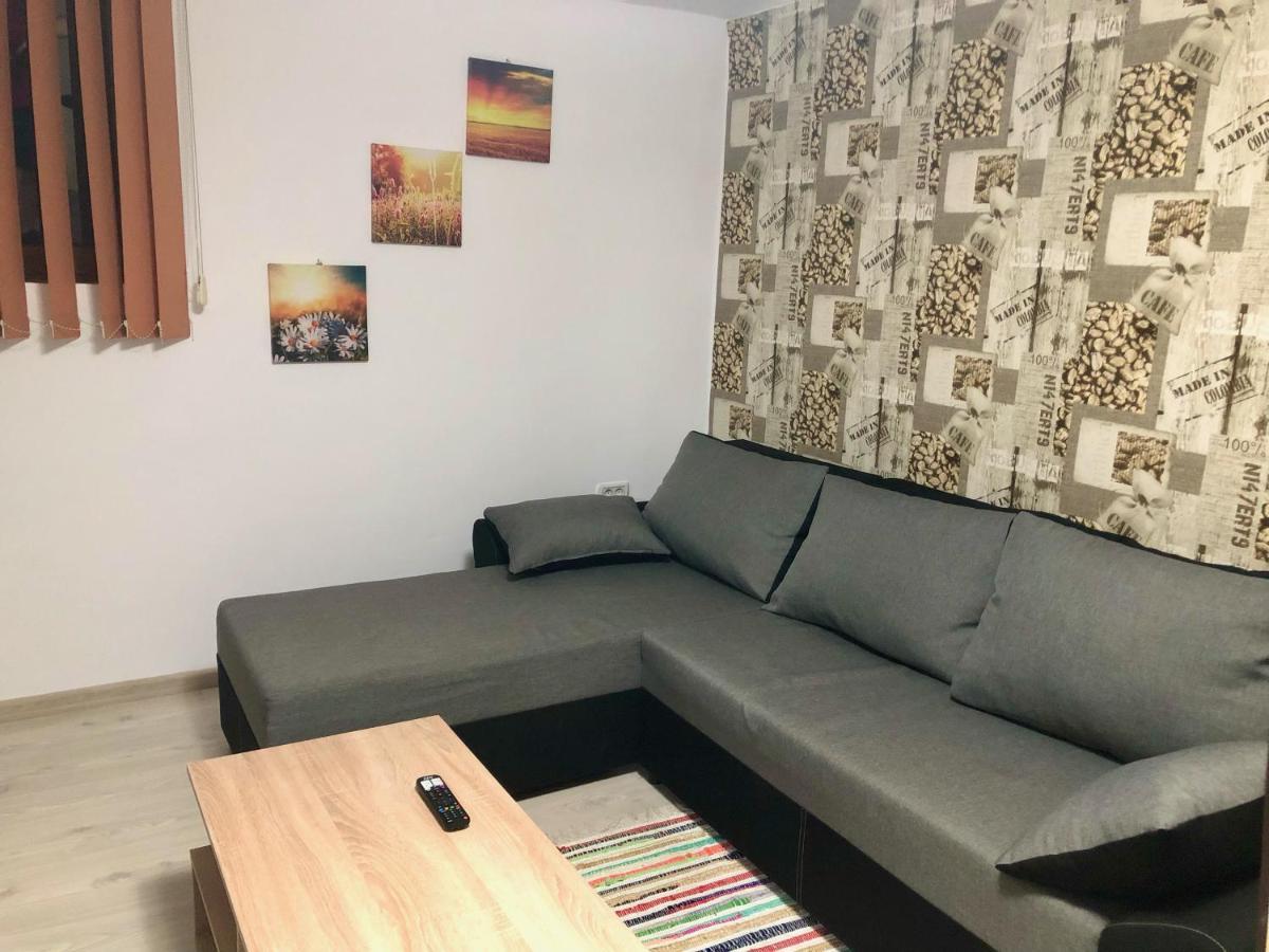 Central Park - Big Apartment - 3 Rooms - Free Parking T5 Тімішоара Екстер'єр фото